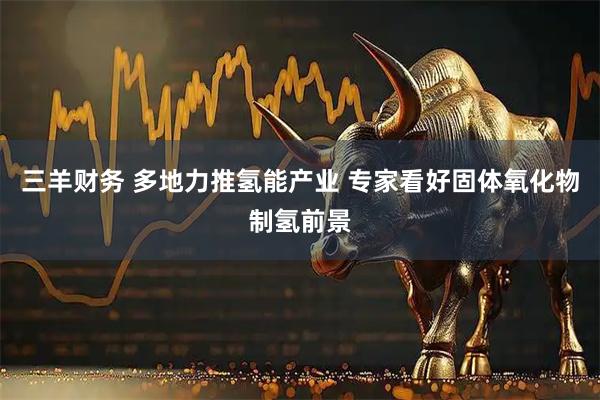 三羊财务 多地力推氢能产业 专家看好固体氧化物制氢前景