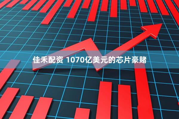佳禾配资 1070亿美元的芯片豪赌
