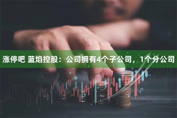涨停吧 蓝焰控股:公司拥有4个子公司,1个分公司