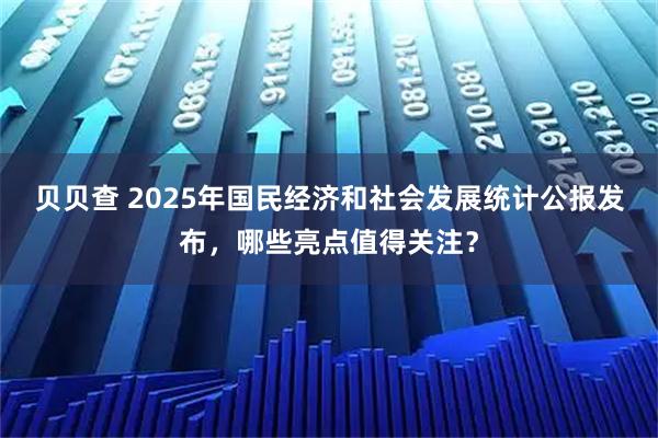 贝贝查 2025年国民经济和社会发展统计公报发布,哪些亮点值得关注?